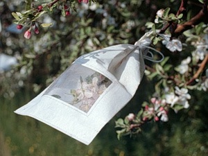Apple pollination bag