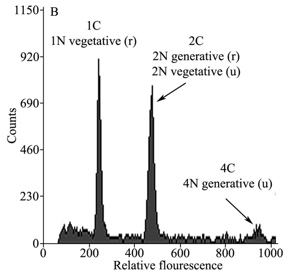 FLow cytometry histogram